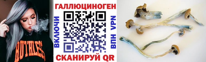 гидра tor  купить наркоту  Сунжа  Псилоцибиновые грибы мухоморы 