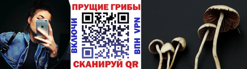 Галлюциногенные грибы ЛСД Сунжа
