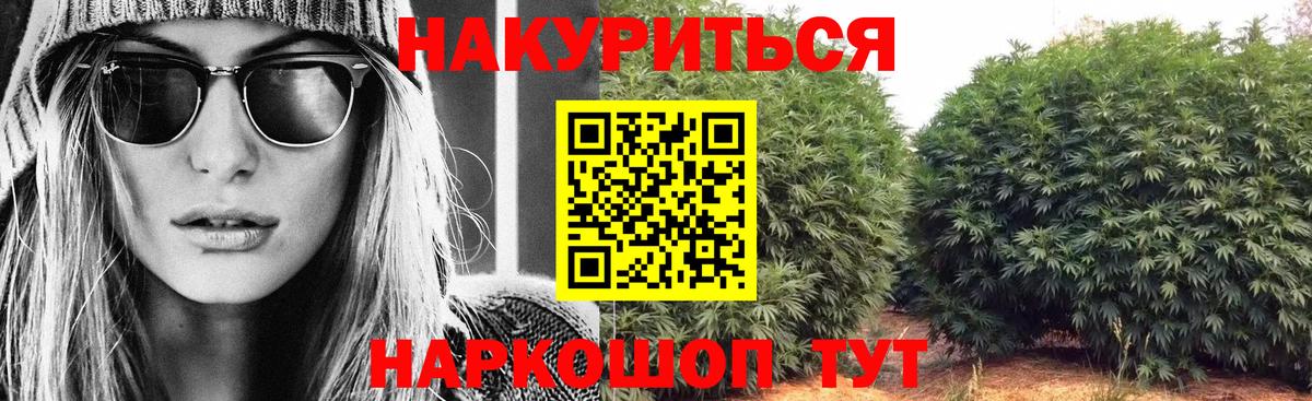 Конопля ГИДРОПОН  МАРИХУАНА план  Каннабис Amnesia  Сунжа  Каннабис SATIVA & INDICA 