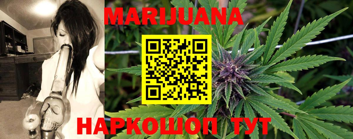 Канабис планчик Сунжа